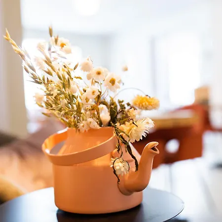 Stadsvilla Mozaic Hotel La Haye