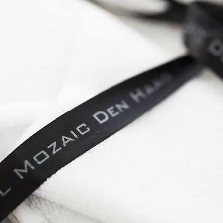 Stadsvilla Mozaic 4* האג