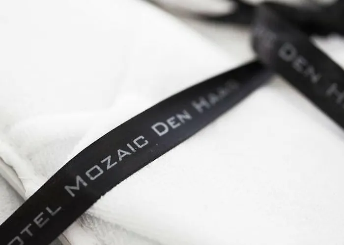 Stadsvilla Mozaic 4* La Haya