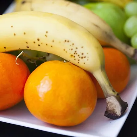 Stadsvilla Mozaic 4* Haga